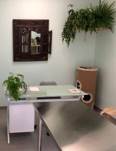 Ambulatorio veterinario Al Bosco Cremona - interni